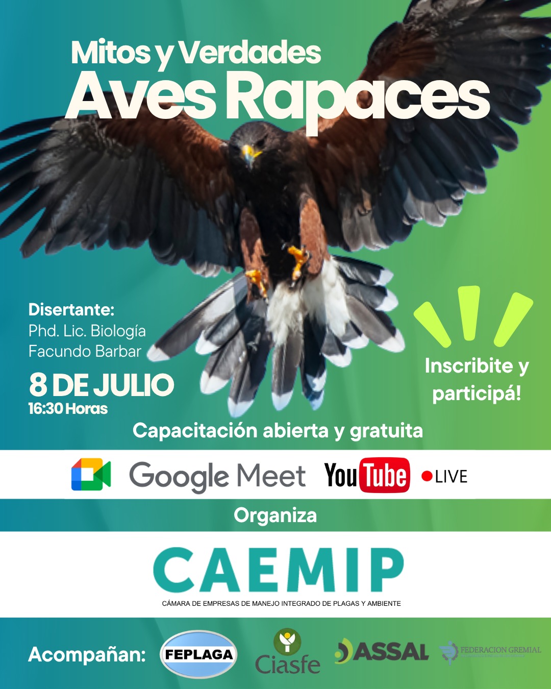 MITOS Y VERDADES: AVES RAPACES